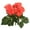 Red Orange, variant on Vickerman 9.5" Artificial White Polyester Begonia Bush