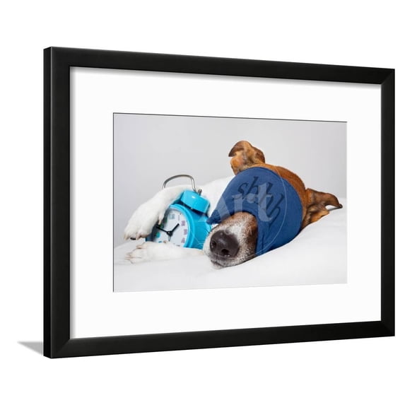 Dog Sleeping with Alarm Clock and Sleeping Mask, Framed Art Print Wall Art by Javier Brosch Sold by Art.Com