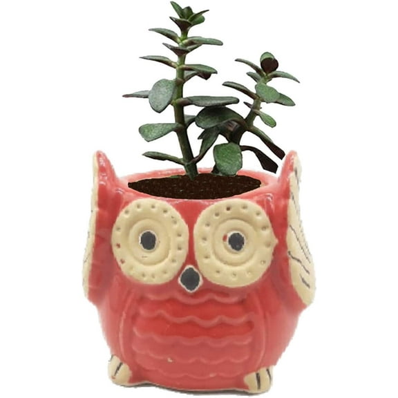 India Meets India Ceramic Planter, Owl Shaped [RED - 3.5 inch] - Ceramic Flower Pot/Indoor/Outdoor Pot - by Awarded Indian Artisan