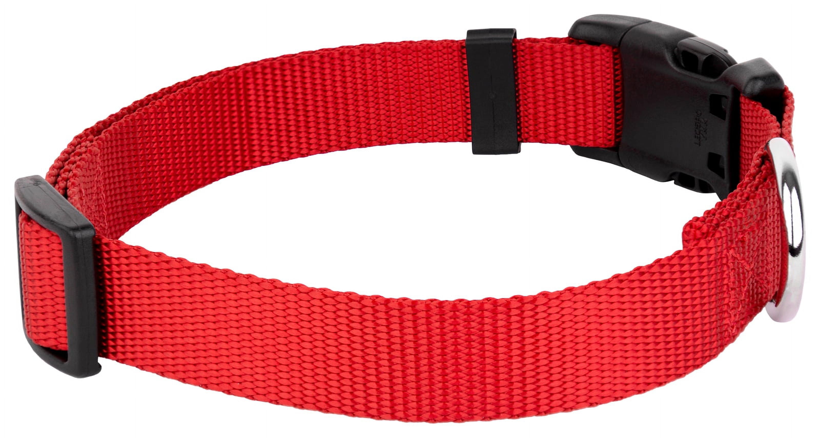 Country Brook Petz® Bright Red Everyday Nylon Dog Collar and Leash, Small