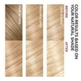 thumbnail image 2 of L'Oreal Professionnel Superior Reference Fade-Defying Color, 9.5 Natural Blonde, 2 of 4