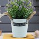 thumbnail image 2 of 2 piezas de hoja de flores artificiales bonsai planta de hoja verde falsa planta simulada bonsai, 2 of 6