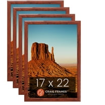 Craig Frames Contemporary Honey Brown Picture Frame, Set of 4
