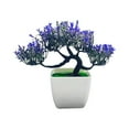 thumbnail image 1 of POINTERTECK Boc Artificial Bonsai Realistic Looking Geometric Shape Potted Unfading Not Withered Maintenance Free Decorate Vibrantly Colored Arti, 1 of 10