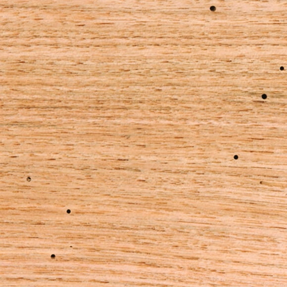 Woodchucks Wood 3/4 Inch x 2 Inch x 16 Inch Solid Butternut Hardwood Lumber as Cutting Board Wood Boards (10 Pack)