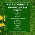 thumbnail image 3 of GreenView Broadleaf Weed Control Plus Lawn Food - 39 lb. - Covers 15,000 sq. ft., 3 of 10