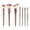 Coffee, variant on mdesiwst 7Pcs/Set Makeup Brush Kit Portable Professional Foundation Loose Powder Blush Eyeshadow Concealer Lip Eyebrow Blending Cosmetic Brush Tools