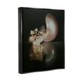 thumbnail image 3 of Stupell Industries Dark Sea Shells Still Life Photograph Jet Black Floating Framed Canvas Print Wall Art, Design by Cecile Baird, 3 of 6