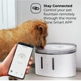 thumbnail image 2 of Home Zone Pet Water Fountain - Smart 2.4GHz Automatic Water Fountain for Small Cats and Dogs with Water Filter, 2L, 2 of 7