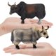 thumbnail image 2 of Set de figuras Realistic Yaks PVC Highland Bull and Yak, 2 unidades, 2 of 2