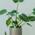 thumbnail image 4 of Shisuyan 3 Rolls Plant Fixing Strap Convenient Vine Plant Straps Gardening Accessory, 4 of 8