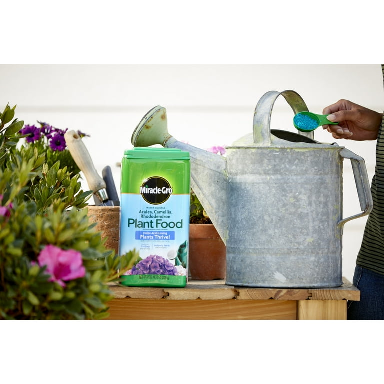 Miracle-Gro, Water Soluble Plant Food, Azalea, Camellia