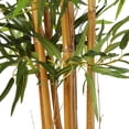 thumbnail image 6 of Nearly Natural 60" Bamboo Artificial Tree in White Tower Planter in Green/White, 6 of 8