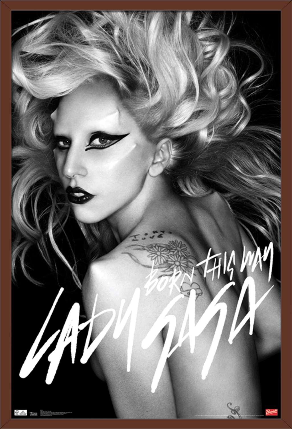 Lady Gaga - Born This Way Wall Poster, 22.375" x 34", Framed - Walmart.com