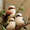 Cute Bird Family Oil Painting, variant on UXIEQU White Rabbit Carrots Floral Canvas Wall Art 15.75x11.81 Inches