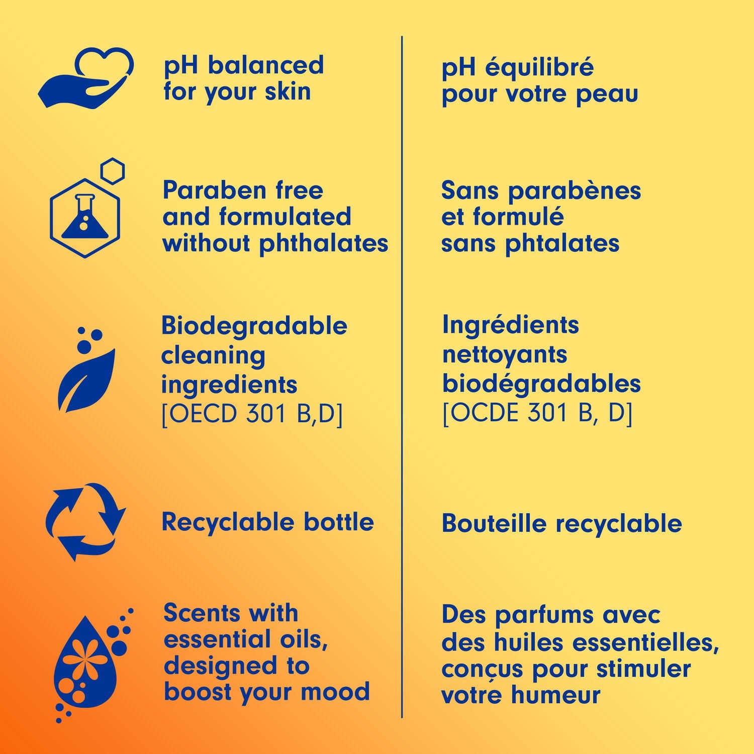 Softsoap Savon Liquide pour les Mains en Édition Limitée, Joyful