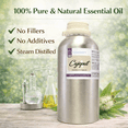 thumbnail image 4 of Cajeput Essential Oil - 32 fl oz - Aluminum Bottle w/ Locking Cap, 4 of 12