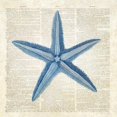 thumbnail image 3 of James, Christopher 20x20 Black Modern Framed Museum Art Print Titled - Starfish Pages, 3 of 5