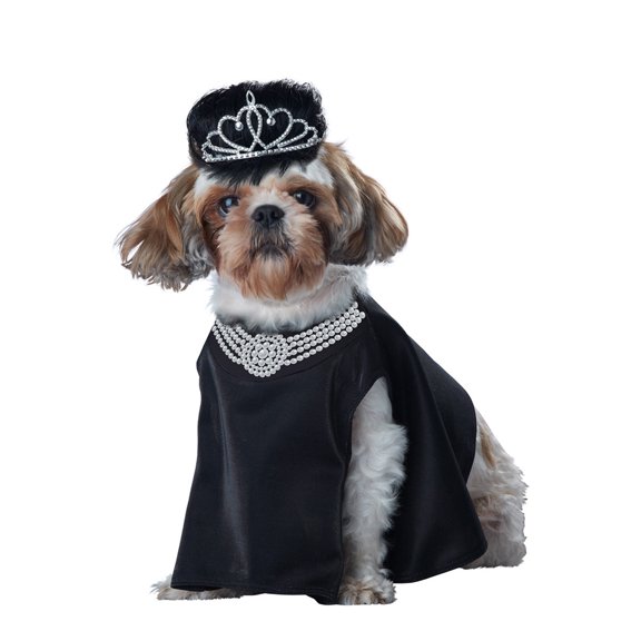 Barkfest at Sniffany's Dog Costume