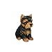 thumbnail image 3 of Hi-Line Gift Ltd Sitting Yorkshire Terrier Puppy, 65", 3 of 4