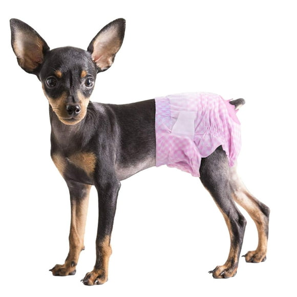Absolute Comfort Pet Diapers, Elastic Waist for Cats and Dogs, Super Absorbent Leak-Proof Design, Disposable Diapers for House Training, Excitable Urination, Marking Issues, 14"