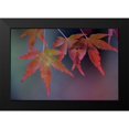 thumbnail image 2 of Crane, Rita 14x11 Black Modern Framed Museum Art Print Titled - Japanese Maple II, 2 of 5