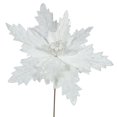 thumbnail image 1 of Vickerman QG163311 Cream Poinsettia Flower, 22 & 21 in., 1 of 1