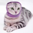 thumbnail image 1 of Pet Dog Ear Cover Noise Reduce Anxiety Relief Bathing Earmuff, 1 of 5