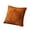 Coffee, variant on Pumpkin Throw Pillow Covers 20*20, Set of 2 Coffee Cute Fall Halloween Pillow Cases for Sofa,Autumn Decor Soft Cushion Covers for Living Room Bedroom