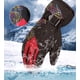 thumbnail image 4 of Guantes de esquí guantes cálidos de invierno guantes de invierno para hombres y mujeres más guantes de lana azules brillar Electrónica, 4 of 5