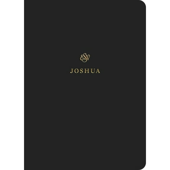 Pre-Owned ESV Scripture Journal: Joshua (Paperback) (Paperback) 1433546353 9781433546358