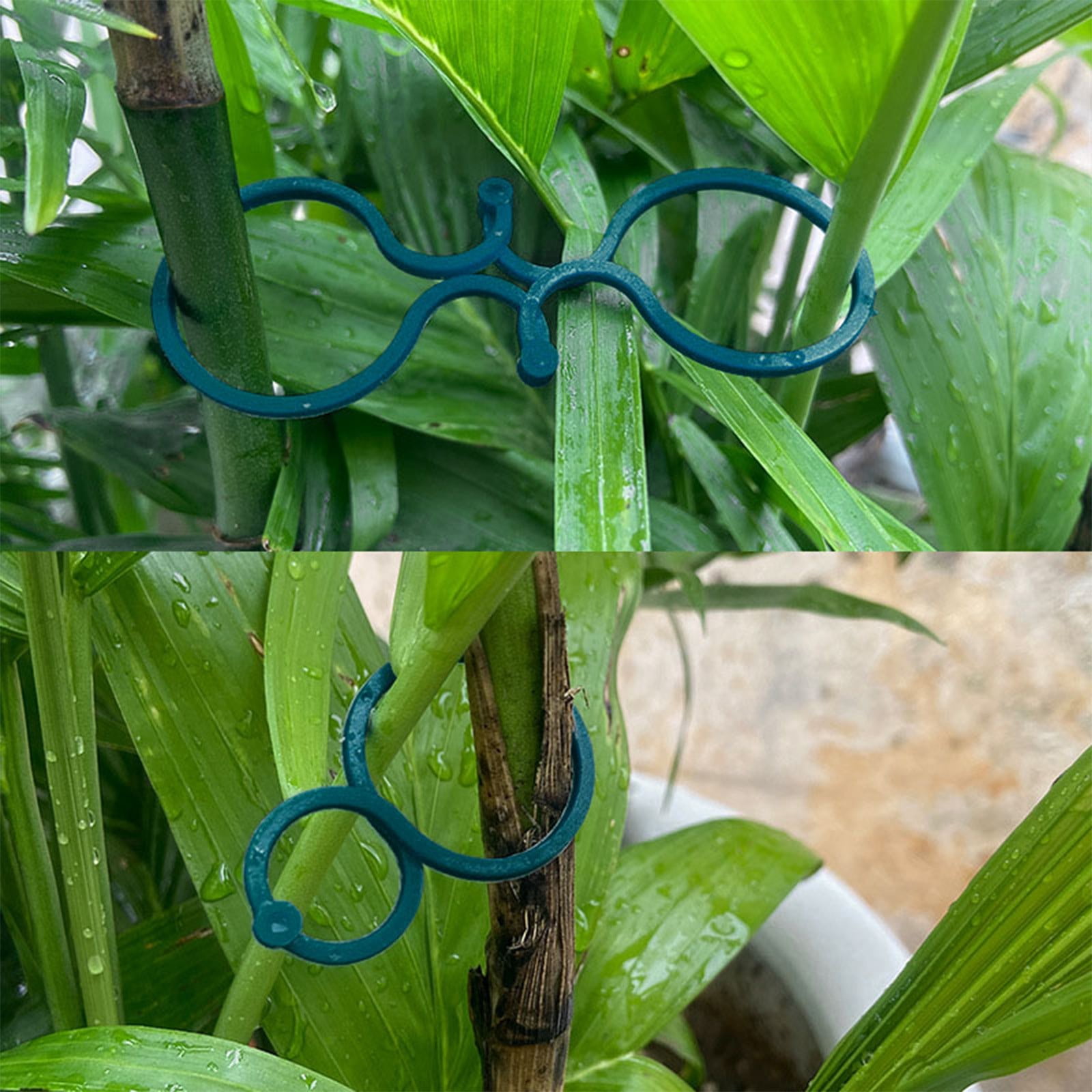 ERTZAE Reusable Garden Tie Clip - Flexible Vine Binding Strap For Tomato Cage Greenhouse,Vine Organizer Clip,Figure 8 Plant Tie Clip 1.57in - Butterfly Buckle Gourd Ring for Vine Garden Support