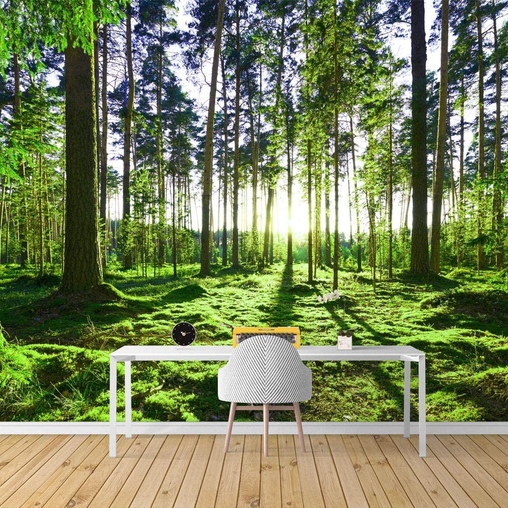 SIGNWIN Wall Mural Foggy Forest Removable  Ubuy India