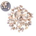 thumbnail image 5 of FELTECHELECTR 500 piezas de conchas pequeñas para decoración del hogar, conchas marinas naturales, artesanías para pecera, acuario, boutique., 5 of 5