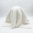 thumbnail image 4 of Gus el fantasma con almohada de calabaza de peluche de 10 pulgadas, juguete de peluche de terror de Halloween para niños y niñas, muñeco de peluche suave, regalo para fanáticos y niños, 4 of 4