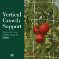 thumbnail image 4 of Dalen Trellis Netting Support for Climbing Plants and Vegetables – Heavy Duty Material – Tangle Free Nylon - 7" Mesh - 5' x 15', 4 of 5