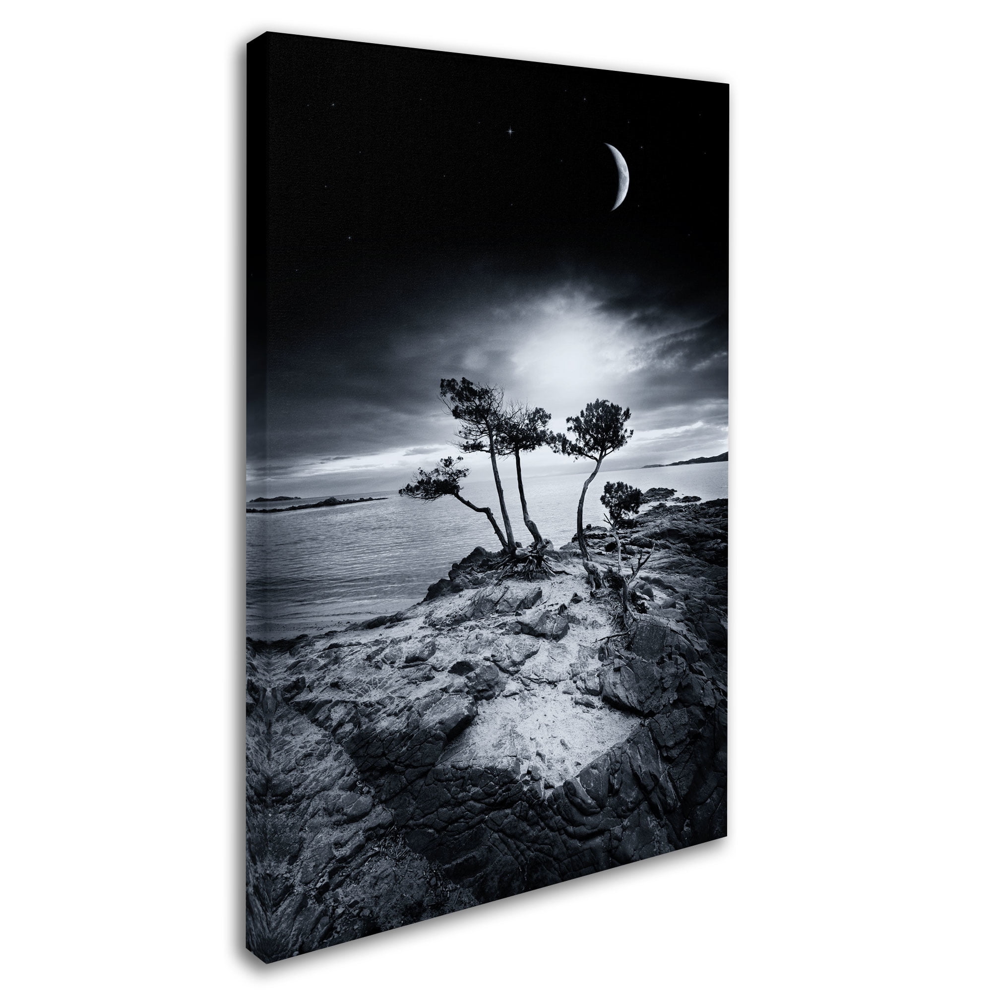 Trademark Fine Art "Emotional High" Canvas Art by Philippe Sainte-Laudy