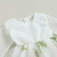 thumbnail image 3 of Fille Enfant en Bas Âge Robe d'Automne Manches Longues Broderie Florale Dentelle Robe Enfants Robe en Tulle, 3 of 6