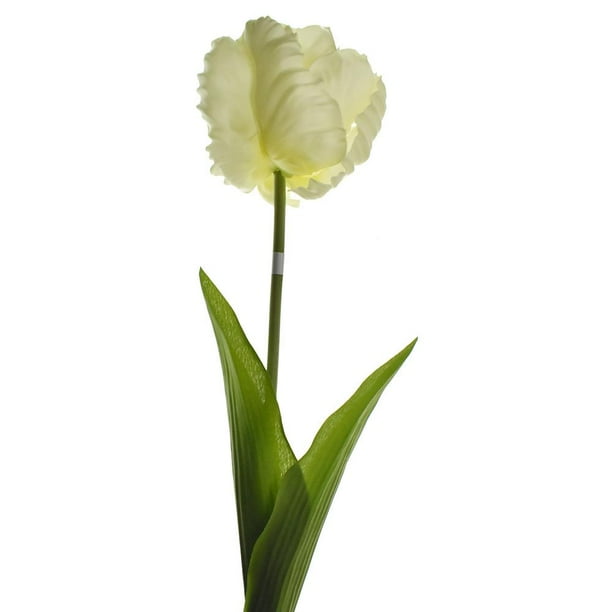 Artificial Parrot Tulip Stem, Cream, 26-Inch - Walmart.com