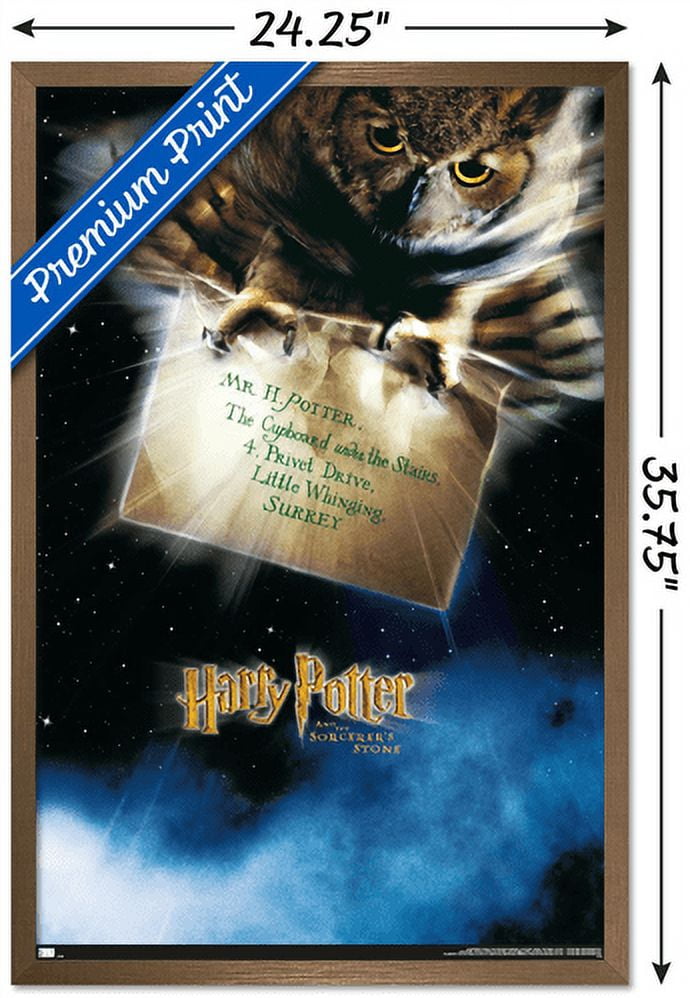 Harry Potter and the Sorcerer's Stone - Owl One Sheet Wall Poster, 22.375" x 34", Framed