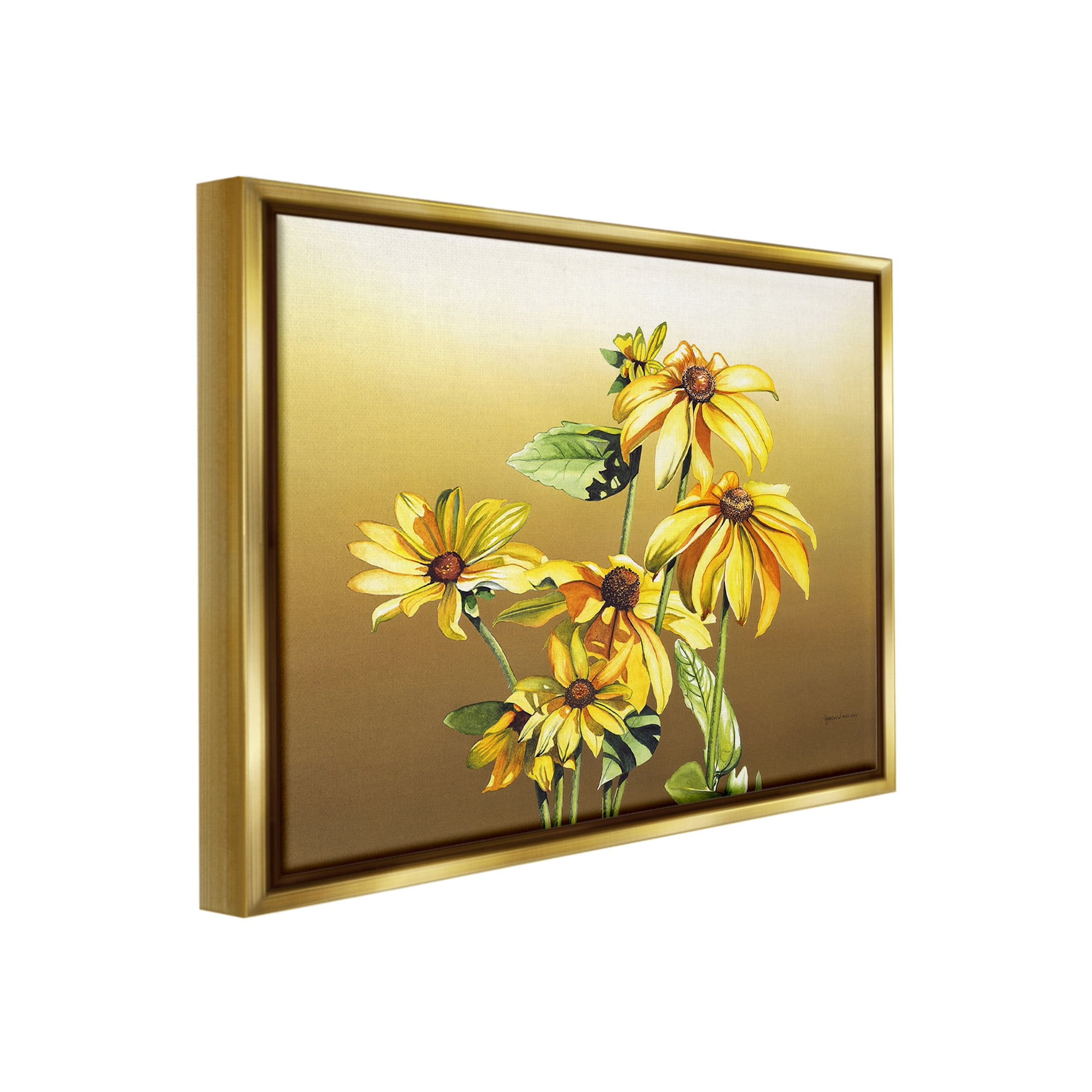 Stupell Industries Drooping Daisy Petals Botanical & Floral Painting Gold Floater Framed Canvas Art Print Wall Art, 31 x 25