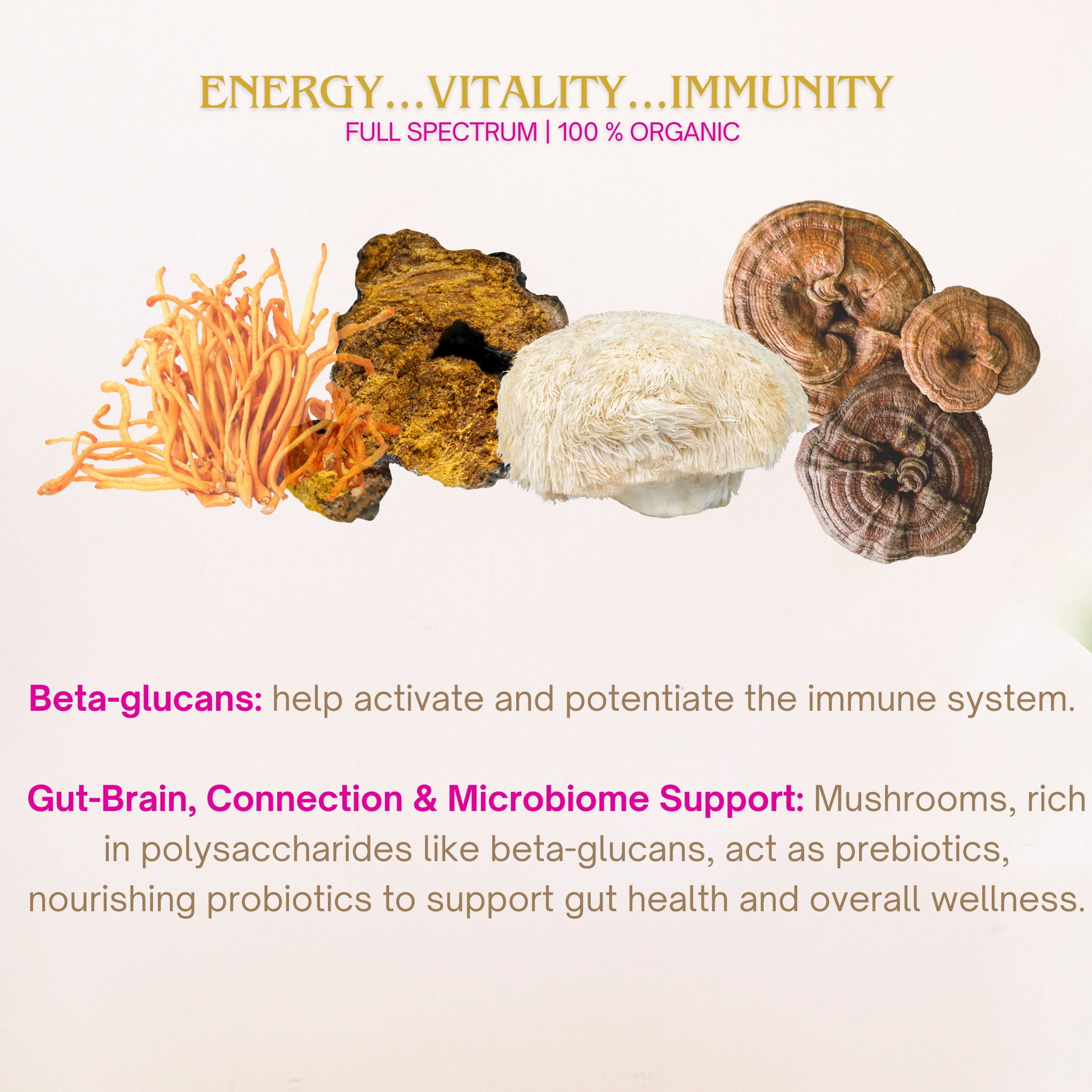 Eleven TLC,  Organic Lion's Mane Full Spectrum Superfood Mushroom Powder - Brain Health, Energy + Focus  (82 Grams ) 40 Servings