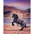 thumbnail image 3 of PHBurchett 12x14 Black Modern Framed Museum Art Print Titled - Sunlit Horses II, 3 of 5