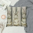 thumbnail image 2 of Nawypu  Gray Stripes Bunny Easter Throw Pillow Cover,  Rabbit Holiday Cushion Case Decoration for Sofa Couch, 2 of 5