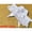 WHITE-2pcs, variant on Set of Bridal Wedding Garters, Lace Bridal Wedding Garter, Black Bow Sexy Women Garters, Party Dance Throw Thigh Garter Gifts