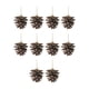 thumbnail image 5 of Conos de Pino Macarena 10 Uds Decoraciones Colgantes 4cm a 5cm, 5 of 8