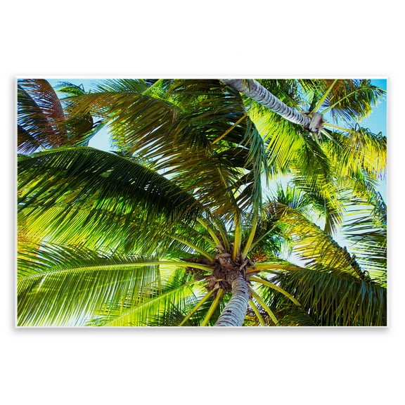 Stupell Industries Swaying Palm Leaves Botanical & Floral Photography Unframed Art Print Wall Art, 15 x 10