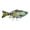 A, variant on 2 Pack Fishing Lures Lifelike Swimming For Freshwater And Saltwater – Realistic Faux Swimmer For Strike Anticipation Smooth Sinking Action
