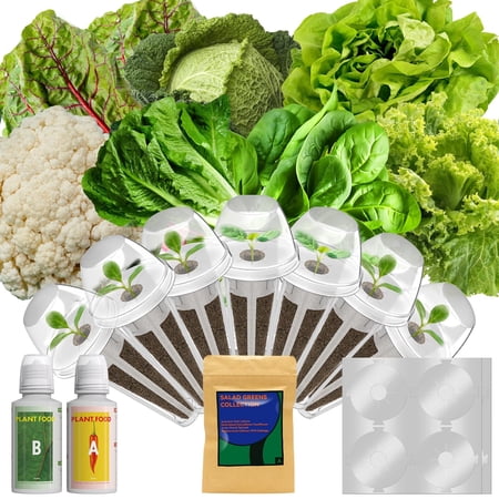 Salad Grow Pod Kit for AeroGarden, iDOO, Ahopegarden – Hydroponic Growing System, 7 Pods with 6 Planting Varieties (Includes Spinach, Swiss Chard, American Fast Lettuce, Cabbage, Cauliflower)