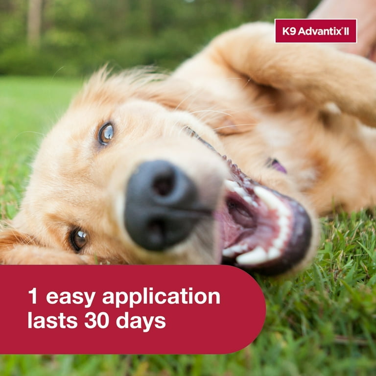 Advantix for dogs walmart sales